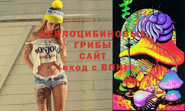 гидропоника Алексин