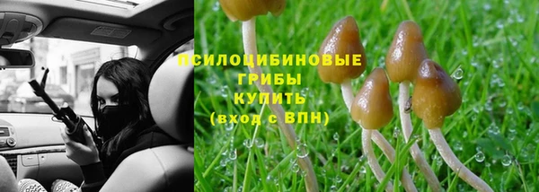гидропоника Алексин